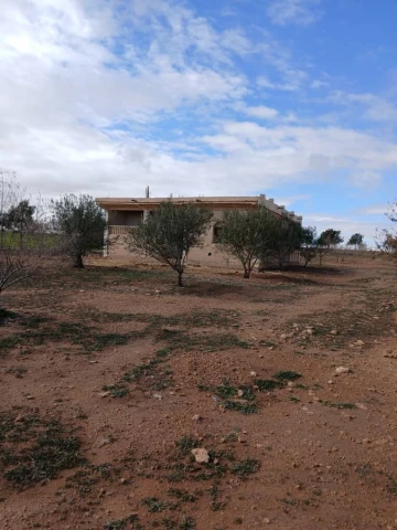 Vente Terrain Agricole Djelfa Had sahary 10