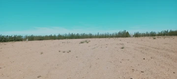 Vente Terrain Agricole Djelfa Hassi bahbah 33