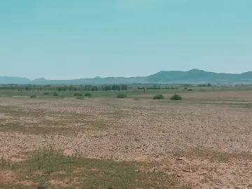 Vente Terrain Agricole Djelfa Bouira lahdab 3