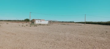 Vente Terrain Agricole Djelfa Hassi bahbah 11