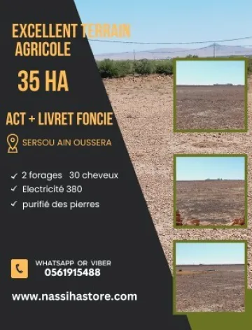 Vente Terrain Agricole Djelfa Ain oussara 4