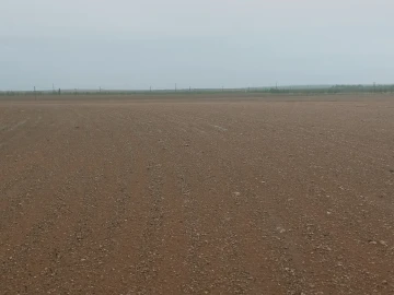 Vente Terrain Agricole Djelfa Benhar 8