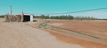 Vente Terrain Agricole Djelfa Hassi bahbah 27