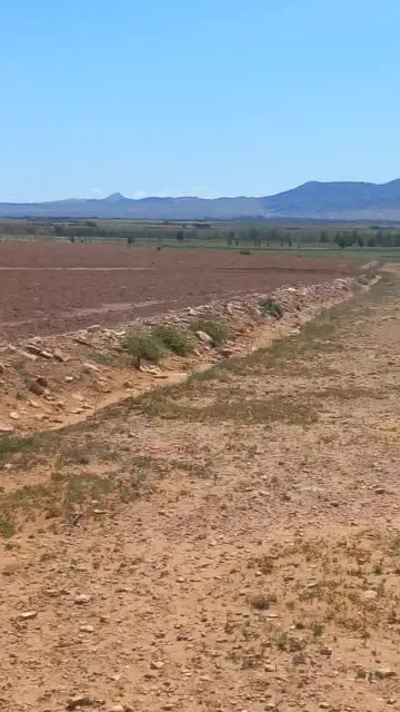 Vente Terrain Agricole Djelfa Bouira lahdab 13