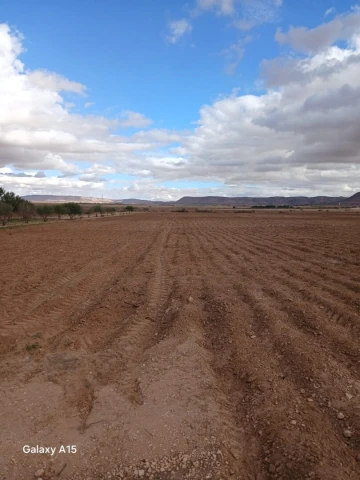 Vente Terrain Agricole Djelfa Had sahary 22
