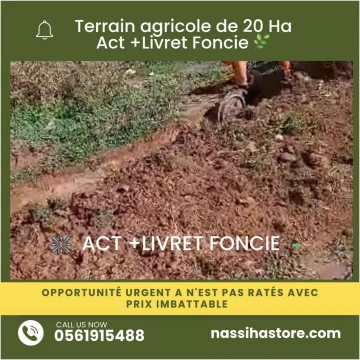 Vente Terrain Agricole Djelfa Had sahary 8