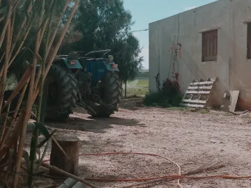 Vente Terrain Agricole Djelfa Djelfa 7