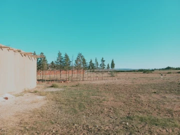 Vente Terrain Agricole Djelfa Djelfa 13