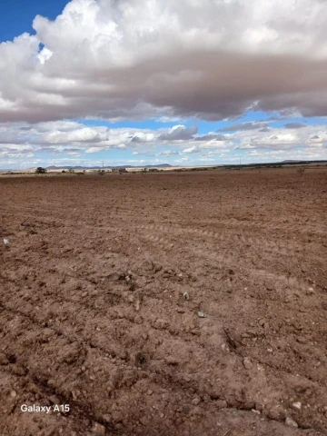 Vente Terrain Agricole Djelfa Had sahary 20