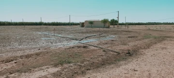 Vente Terrain Agricole Djelfa Hassi bahbah 4