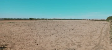 Vente Terrain Agricole Djelfa Hassi bahbah 9