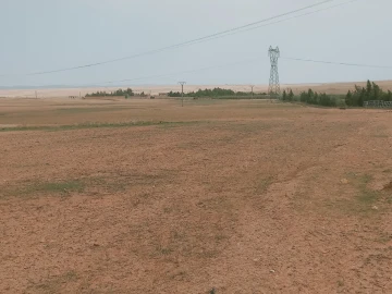 Vente Terrain Agricole Djelfa Djelfa 4