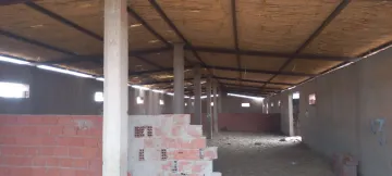 Vente Terrain Agricole Djelfa Ain oussara 4
