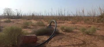Vente Terrain Agricole Djelfa Ain oussara 17