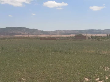 Vente Terrain Agricole Djelfa Djelfa 2