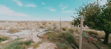 Vente Terrain Agricole Djelfa Djelfa 4