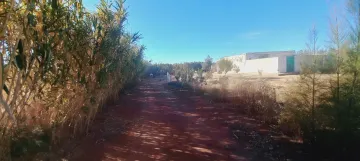 Vente Terrain Agricole Djelfa Ain oussara 4