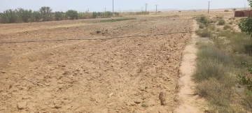 Vente Terrain Agricole Djelfa Djelfa 12