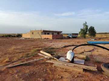 Vente Terrain Agricole Djelfa Hassi bahbah 19