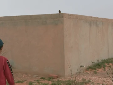 Vente Terrain Agricole Djelfa Hassi bahbah 6