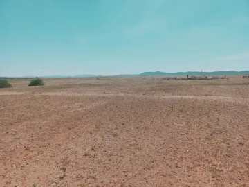 Vente Terrain Agricole Djelfa Bouira lahdab 7