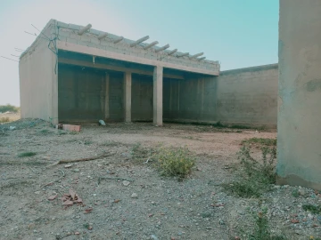 Vente Terrain Agricole Djelfa Djelfa 7