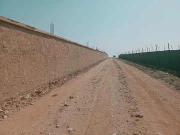 Vente Terrain Agricole Djelfa Ain oussara 15
