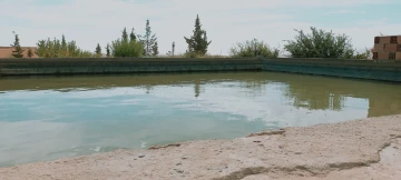 Vente Terrain Agricole Djelfa Djelfa 5