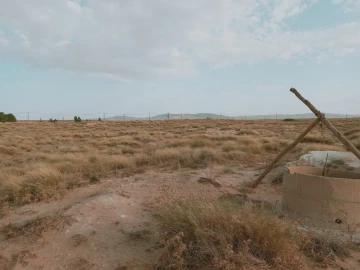 Vente Terrain Agricole Djelfa Charef 7