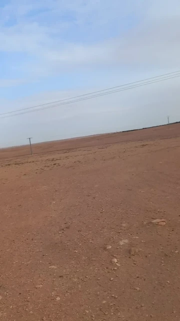 Vente Terrain Agricole Djelfa Ain oussara 3