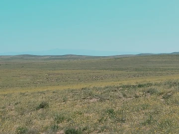Vente Terrain Agricole Djelfa Djelfa 2