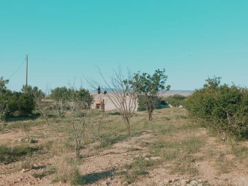 Vente Terrain Agricole Djelfa Djelfa 14
