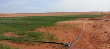 Vente Terrain Agricole Djelfa Djelfa 8