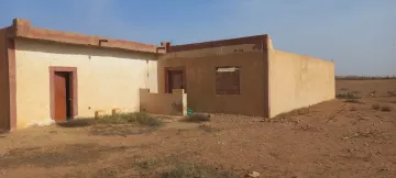 Vente Terrain Agricole Djelfa Ain oussara 2
