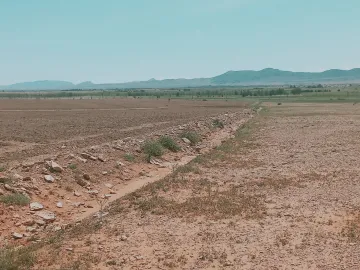 Vente Terrain Agricole Djelfa Bouira lahdab 12