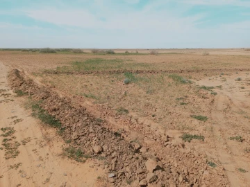 Vente Terrain Agricole Djelfa Birine 2