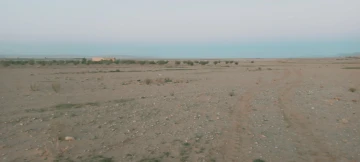 Vente Terrain Agricole Djelfa Djelfa 3