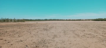Vente Terrain Agricole Djelfa Hassi bahbah 15