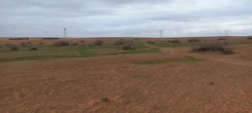 Vente Terrain Agricole Djelfa Ain oussara 29