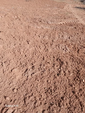 Vente Terrain Agricole Djelfa Had sahary 17