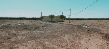 Vente Terrain Agricole Djelfa Hassi bahbah 41