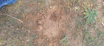 Vente Terrain Agricole Djelfa Ain oussara 12