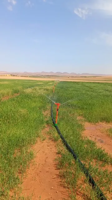 Vente Terrain Agricole Djelfa Djelfa