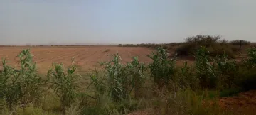 Vente Terrain Agricole Djelfa Ain oussara 15