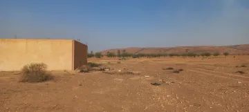 Vente Terrain Agricole Djelfa Ain oussara 23