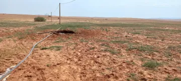 Vente Terrain Agricole Djelfa Djelfa 2