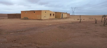 Vente Terrain Agricole Djelfa Ain oussara 10