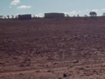 Vente Terrain Agricole Djelfa Ain oussara 20