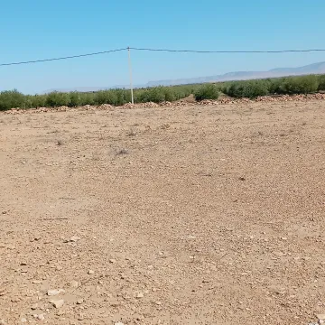 Vente Terrain Agricole Djelfa Ain oussara