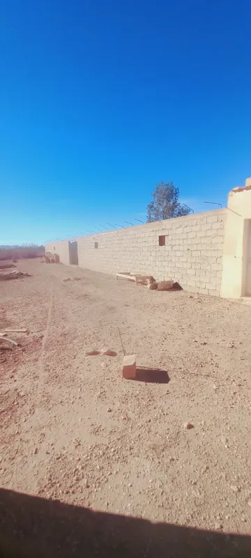 Vente Terrain Agricole Djelfa Ain oussara 9